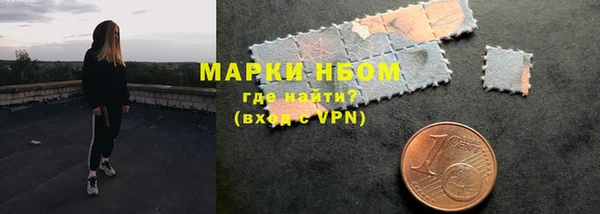 прущие грибы Беломорск