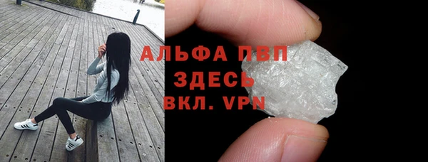 прущие грибы Беломорск
