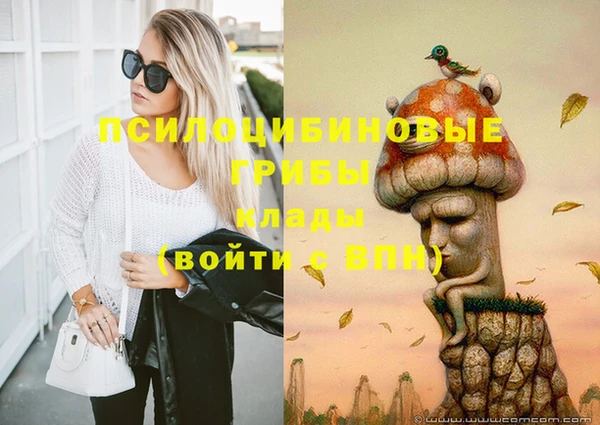 прущие грибы Беломорск