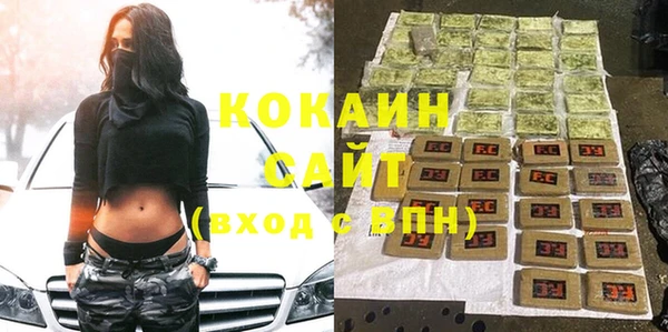 прущие грибы Беломорск