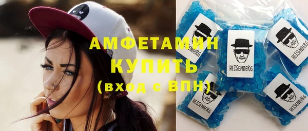 прущие грибы Беломорск